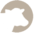 Cattle