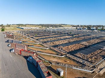 Saleyards