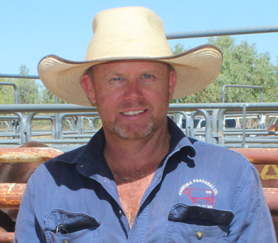 Top tips for buying bulls to boost herd reproductive performance