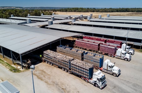 Live export 1.jpg