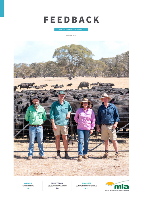 MLA Feedback magazine - Winter 2025