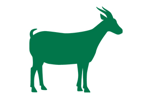 Read past editions of Goats on the Move