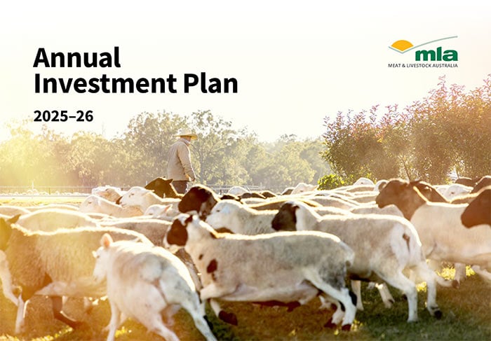 AIP 2025-26
