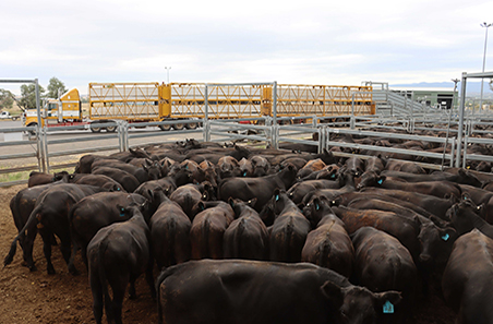 Saleyards