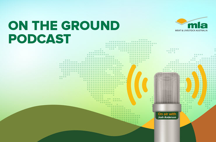 MLA's On the ground podcast