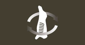 Use myMSA to order point of sale materials and access member tools