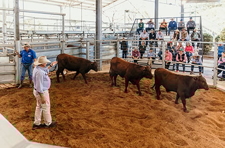 Rockhampton to host MLA’s flagship Beef and Advisor events this July