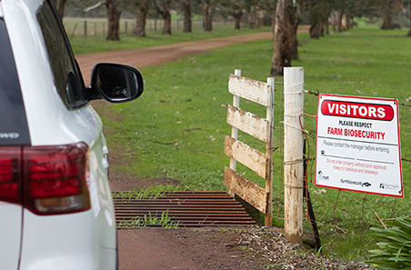 FMD/LSD: Four ways to protect your livestock and livelihood