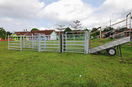 MLA funds portable yards for FMD vaccination in Indonesia