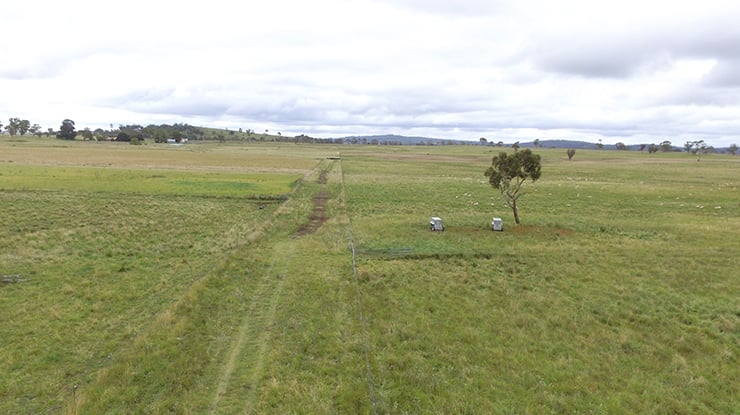 Sam White_Kolora-after-soil-test.jpg