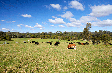 MLA’s Annual General Meeting – your voting entitlements